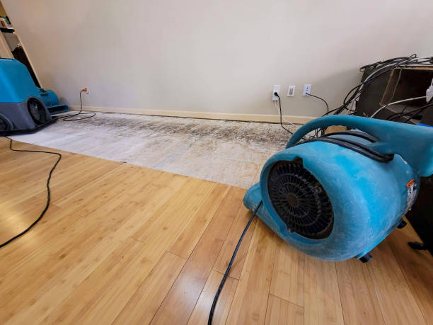 Professional Structural Drying technician working in Drexel Hill, PA